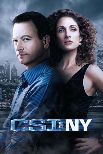 C.S.I.: Kriminálka New York – plagát