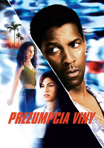 Prezumpcia viny – plagát