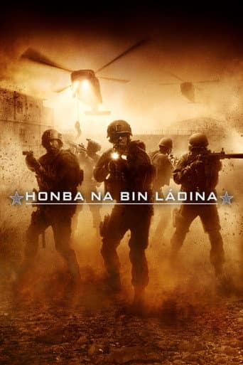 Honba na bin Ládina – plagát