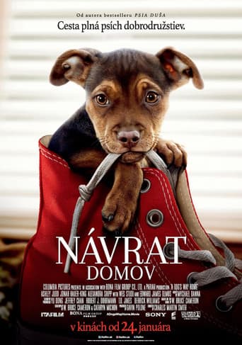 Návrat domov – plagát