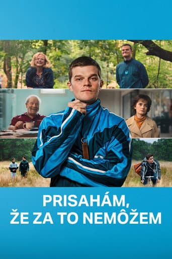 Prisahám, že za to nemôžem – plagát
