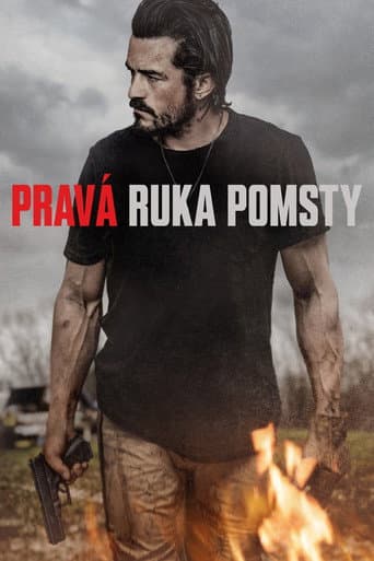Pravá ruka pomsty – plagát