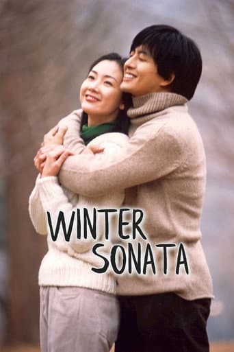 Winter Sonata – plagát