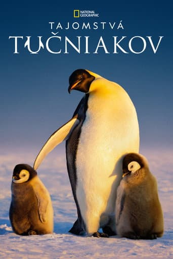 Tajomstvá tučniakov – plagát