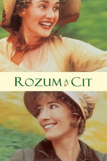 Rozum a cit – plagát