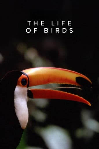 The Life of Birds poster