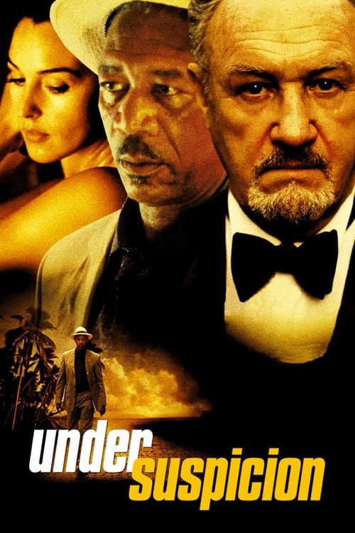 Under Suspicion – plagát