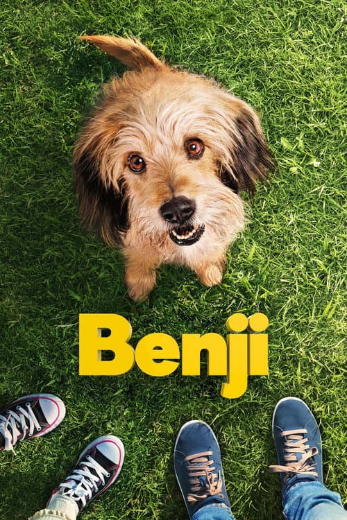 Benji – plagát