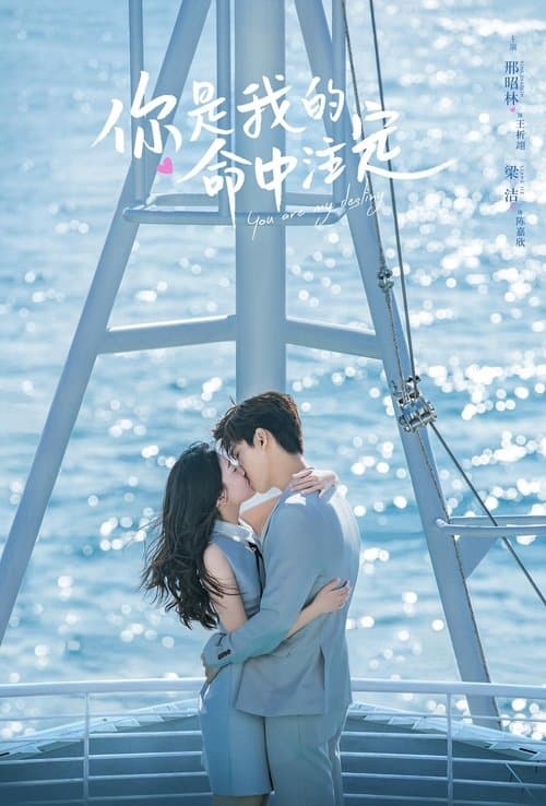 你是我的命中注定 – plagát