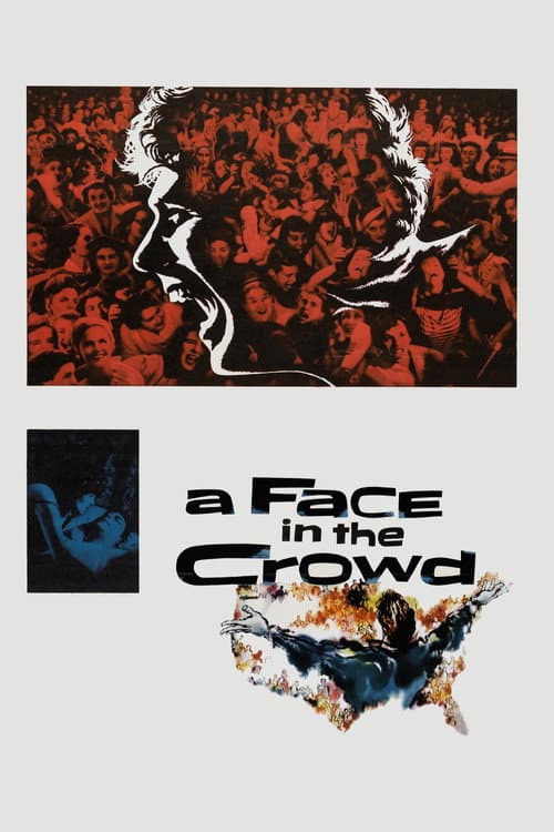 A Face in the Crowd – plagát