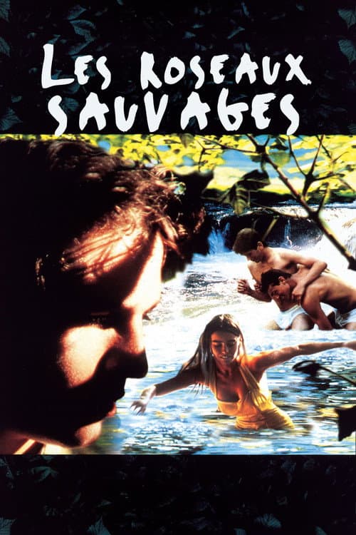 Les Roseaux sauvages – plagát