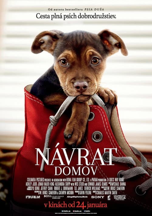 Návrat domov – plagát
