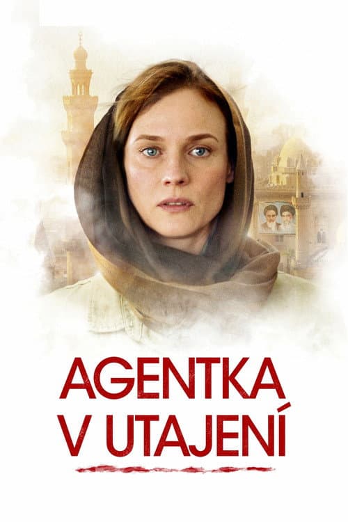 Agentka v utajení – plagát