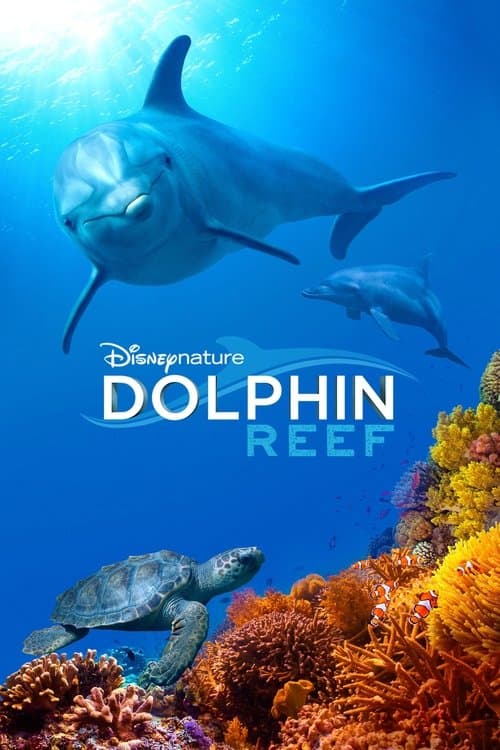 Dolphin Reef – plagát