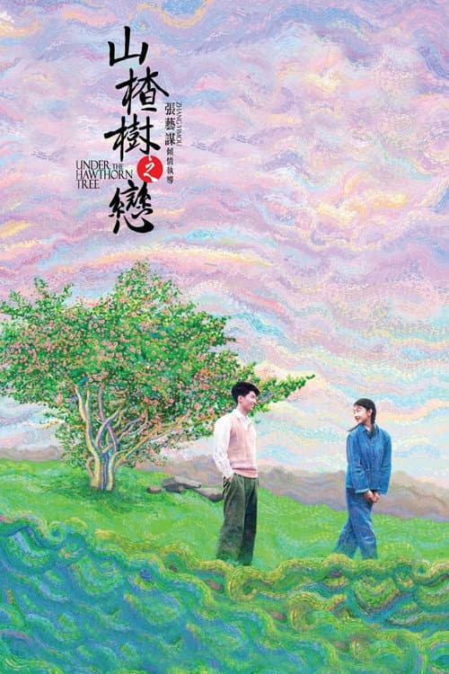 山楂树之恋 – plagát