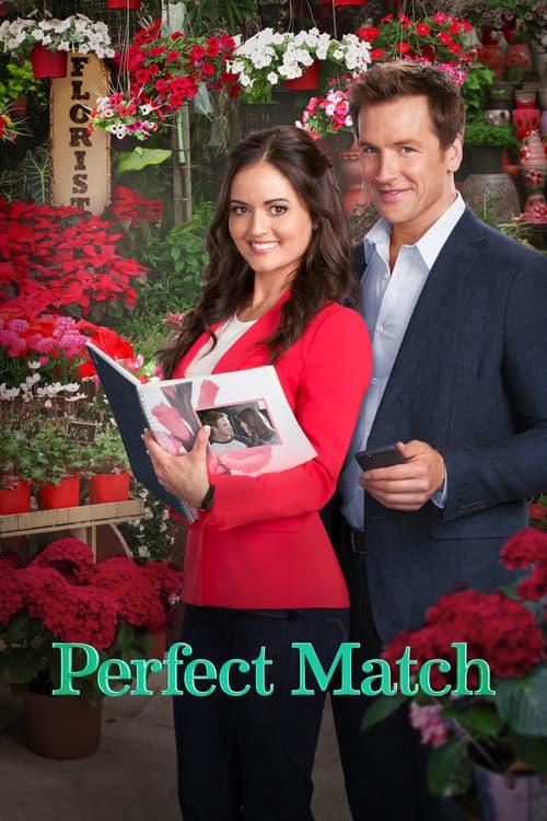 Perfect Match – plagát