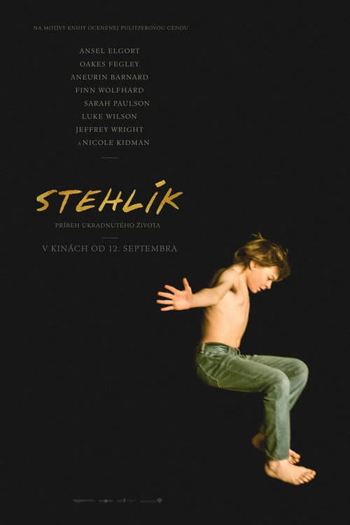 Stehlík – plagát