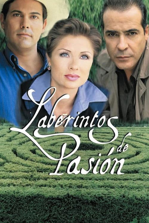 Laberintos de pasión – plagát
