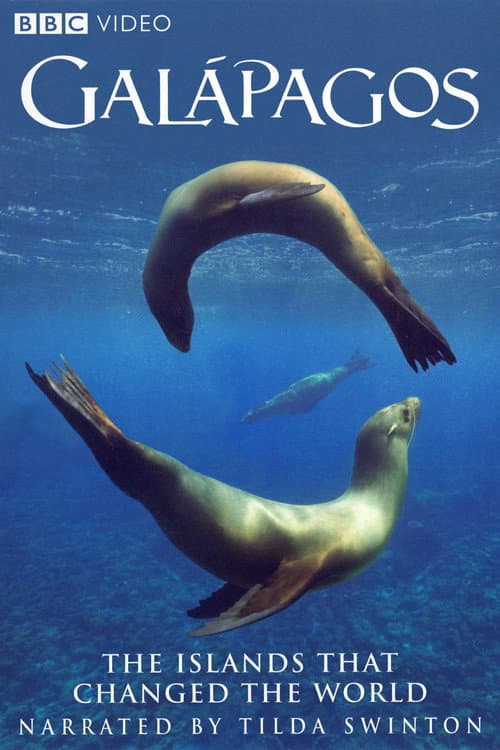 Galapagos poster