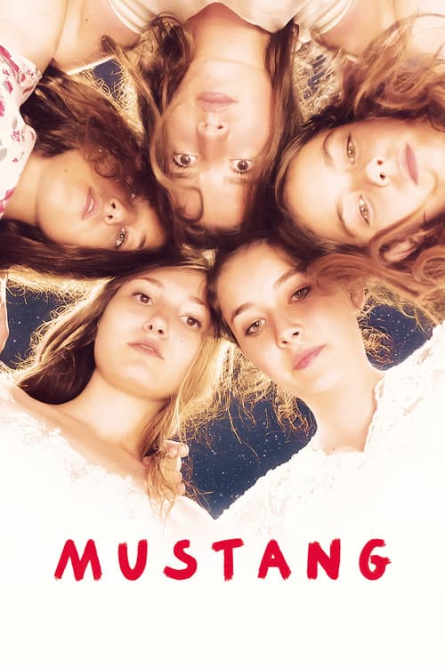 Mustang – plagát