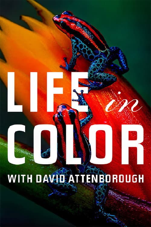 Attenborough's Life in Colour – plagát