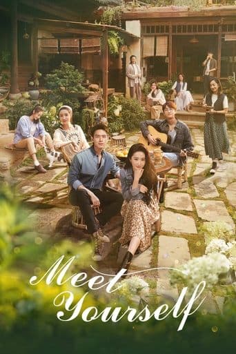 Meet Yourself – plagát