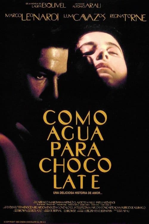 Como agua para chocolate – plagát